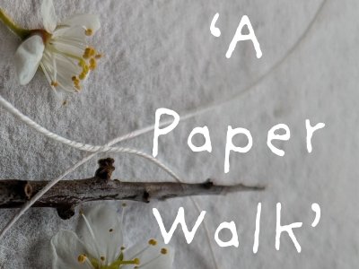 OPEN STUDIOS IMAGES Willow bark workshop